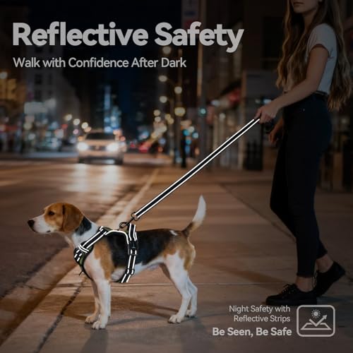 PHOEPET No Pull Dog Harness with Handle Front & Back Clip, Easy on Lockable Snap Buckle at Neck, Adjustable Reflective Vest with Handle for Small Medium Large Dogs (XS, Misty Green) - color: Misty Green, size: Extra Small
