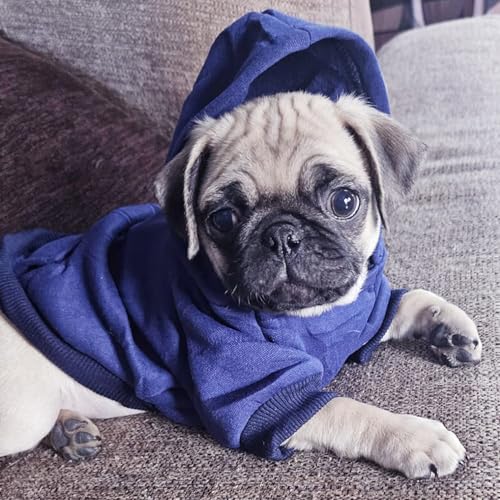Jecikelon Winter Dog Hoodie Sweatshirts with Pockets Warm Dog Clothes for Small Dogs Chihuahua Coat Clothing Puppy Cat Custume (Navy, X-Small) - color: Navy, size: X-Small