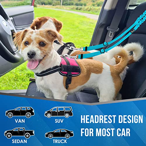 Lukovee Double Dog Seat Belt, New Dual Pet Car Headrest Restraint Safety Seatbelt No Tangle Dog Leash Duty Adjust Elastic Bungee Puppy Lead Splitter Connect Harness in Vehicle Travel for 2 Dogs (TBL) - color: Light Blue