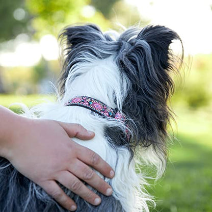 Dog Collar for Small Medium & Large Dogs - Heavy Duty Cotton Collar, Long Lasting, Adjustable, Strong and Durable and Quick Release Buckle, Quality Pink – Get It Now! - color: Pink, size: Medium