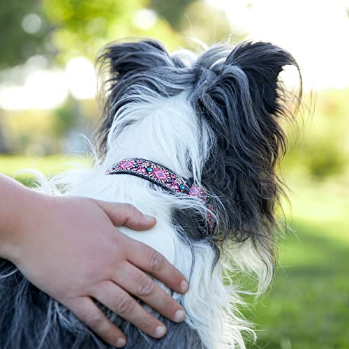 Dog Collar for Small Medium & Large Dogs - Woven Pattern on Long Lasting, Adjustable and Strong Puppy Quick Release Buckle, Quality Pink Collar – Get It Now! - color: Pink, size: Small