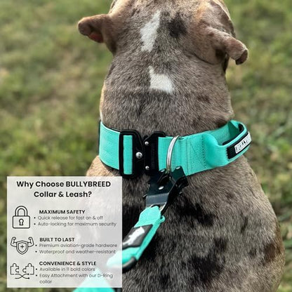 BULLYBREED | Heavy Duty Dog Leash, Tactical Dog Leash, Quick Release Frog Clip with Anti-Tangling Swivel System for Large Dogs that Pull with Soft Double Handles (5 FT Long, Aquamarine) - color: Mint Green Double Handle