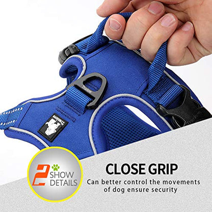 JUXZH Truelove No Pull Dog Harness with Easy Control Handle and 2 Leash Attachments,Reflective Adjustable Pet Vest - color: Royal Blue, size: Small (Pack of 1)