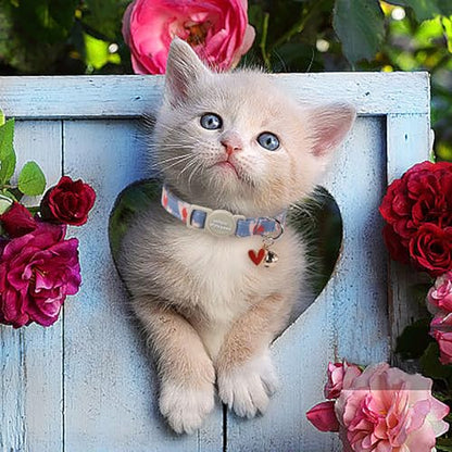 Unique style paws 2 Pack Valentine's Kitten Collar Breakaway with Bell&Pendant, Adjustable Safety Red Lip Rainbow Cat Cotton Collar for Girl Boy Cat and Small Pet - color: painting blue pink love
