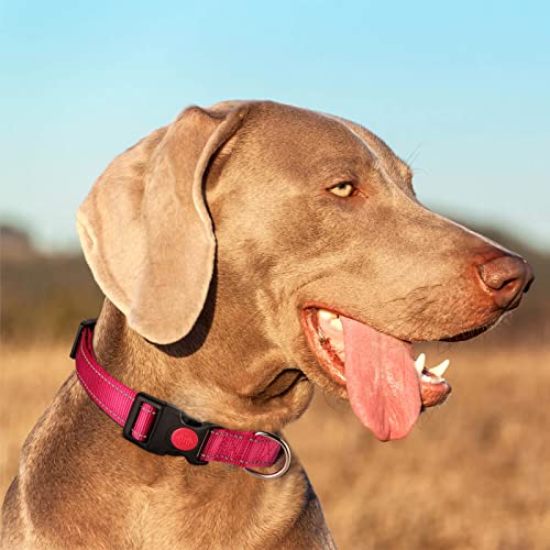 Personalized Dog Collar - Reflective Custom Embroidered with Pet Name and Phone Number for Boy and Girl Dogs, 4 Adjustable Sizes, XSmall,Small, Medium and Large - color: Buckle Lock