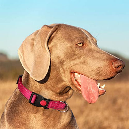 Personalized Dog Collar - Reflective Custom Embroidered with Pet Name and Phone Number for Boy and Girl Dogs, 4 Adjustable Sizes, XSmall,Small, Medium and Large - color: Buckle Lock