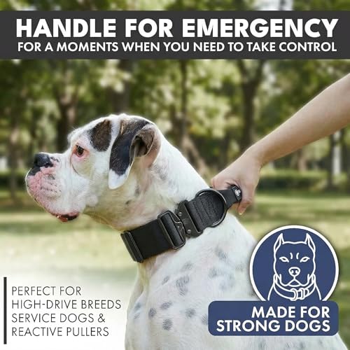 Spark Paws Tactical Dog Collar - Heavy Duty, Premium Quality, Thick and Durable for Large and Medium Dogs - Black - S - 1.5" - color: Black, size: S: 14"-19" [1.5" wide]