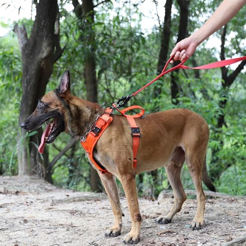 ICEFANG Relfective Dog Leash for Medium Large Dogs,K9 Training Walking Lead with Double Handle,Heavy Duty Auto-Lock Metal Clasp (6ft, Red) - color: Red, size: 6 ft (No bungee)