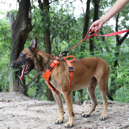ICEFANG Relfective Dog Leash for Medium Large Dogs,K9 Training Walking Lead with Double Handle,Heavy Duty Auto-Lock Metal Clasp (6ft, Red) - color: Red, size: 6 ft (No bungee)