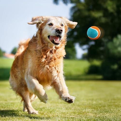 ALL FOR PAWS 2.5" Tennis Balls for Dogs, Dog Balls for Ball Launcher Toy, Bouncy & Durable Fetch Balls for Medium Large Dogs, 4 Pack Fetch Toy for Outdoor Play - size: 2.5"ball