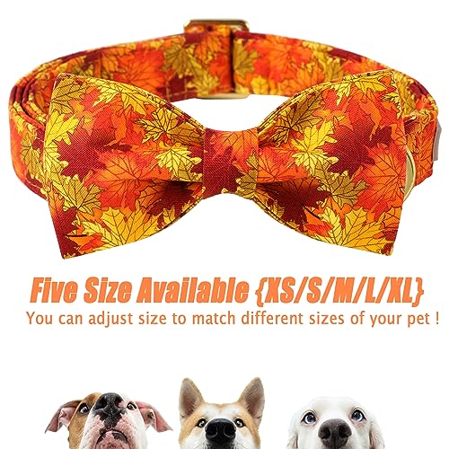 Fall Dog Collar with Bow Tie - Cute Fall Gold Maple Thansgiving Dog Collars, Adjustable Cotton Metal Buckle Bowtie Collar for Small Medium Large Boy Girl Dogs XS - color: B-Maple Leaf, size: XS