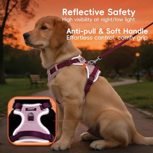 Pink Dog Harness Leash Collar Set, No Pull Reflective Dog Vest Harness with Control Handle, Adjustable Breathable Pet Harness for Large Dogs Walking Training - color: Pink, size: L