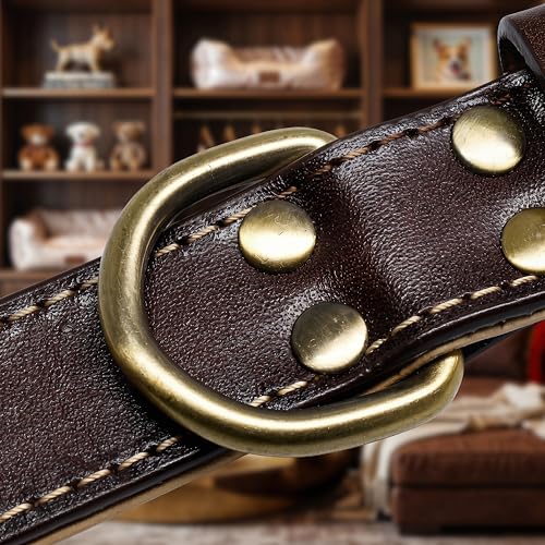 XanYu Premium Genuine Leather Dog Collar – Adjustable Heavy Duty Pet Collar with Sturdy Brass Buckle, Soft Padded & Stylish for Puppy and Small, Medium, Large Dogs (Brown)