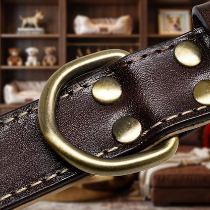 XanYu Premium Genuine Leather Dog Collar – Adjustable Heavy Duty Pet Collar with Sturdy Brass Buckle, Soft Padded & Stylish for Puppy and Small, Medium, Large Dogs (Brown)