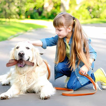 Indestructible Dog Toys for Aggressive Chewers, Tough and Durable Chew Toys for Large Medium Dogs, Interactive Dog Chew Toys to Keep Them Busy (A Rabbit) - color: A Rabbit