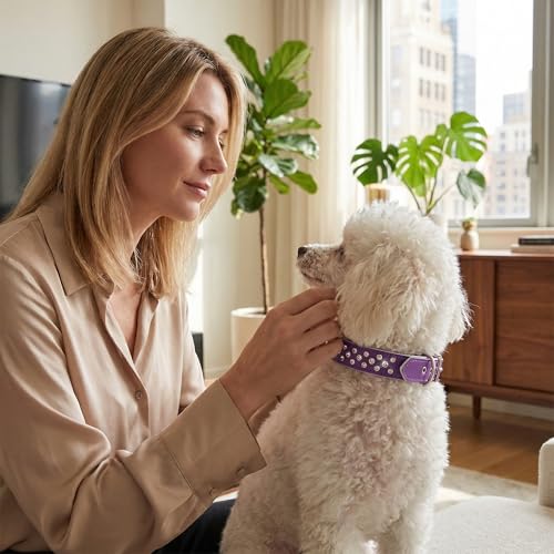 Rhinestones Dog Collar, Adjustable Sparkly Crystal Studded Genuine Leather Pet Dog Collar for Small and Medium Dogs (M, Purple) - color: Purple, size: M