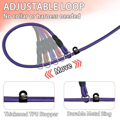 FOVRLZSE Nylon Dog Leash 5-Pack (Red/Black/Blue/Brown/Purple), 4.6FT Training Leash for Small to Medium Dogs, 10mm Braided Nylon with TPU Non-Slip Buckle, Daily Walking & Puppy Training - color: Deep Colors