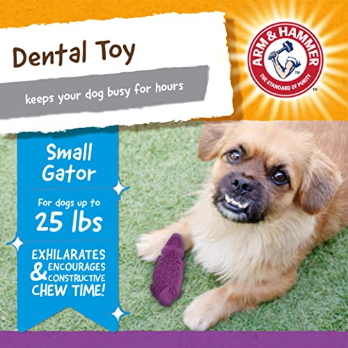 Arm and Hammer for Pets Super Treadz Mini Gator Dental Chew Toy for Dogs - Reduces Plaque and Tartar Without Brushing, Baking Soda Infused, Dishwasher Safe, Dogs Up to 25 Lbs - 5.2 Inch - 24 Pack - size: Small (Pack of 24), style: Gator