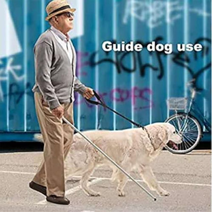 Dog Leash with Soft Padded Handle & Silver Reflective Strips - 24-Inch Heavy Duty Nylon Dog Lead, Anti-Chew Layer, 360° Swivel Clip for Tangle-Free Walking (Black)