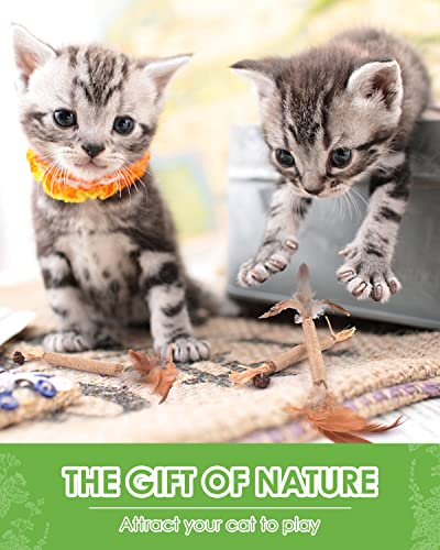 TINDTOP Silvervine Sticks for Cats with Natural Feather, Catnip Chew Toys for Kittens Teeth Cleaning, Increase Appetite, Calm Cat Anxiety and Stress, Cat Dental Toy (3 Pack) - color: 3 Pack