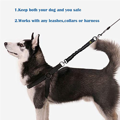 Bungee Dog Leash Extension Attachment, 18” Shock Absorbing Lead Extension Absorber, Prevent Injury on Arm and Shoulder & Save Dogs from Getting Hurt, Great for Bicycle, Running, Walking - color: Black