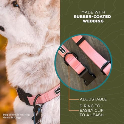 Wilderdog Waterproof Dog Collar - Repels Water & Dirt - Large 17"-24" - Guava - color: Guava, size: Large