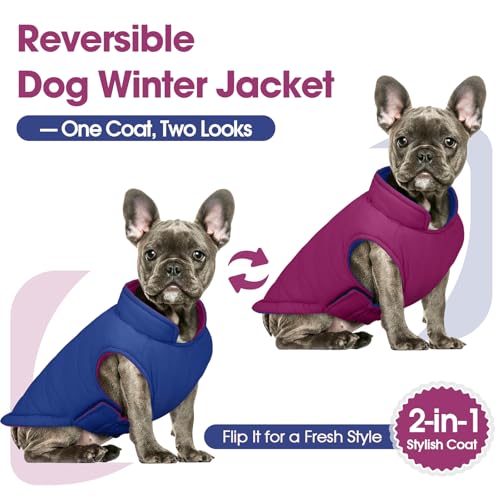 QBLEEV Reversible Dog Jacket for Large Dogs, Waterproof Windproof Winter Coat with Adjustable Hook & Loop Design, Lightweight Puffer Vest Keeps Dogs Warm & Dry, Purple, XL – Fits Pitbull, Boxer - color: Violet-Blue, size: X-Large