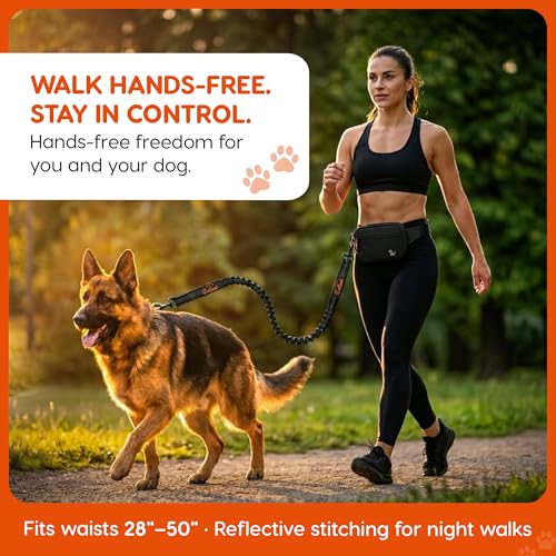 Hands Free Dog Leash with Zipper Storage Pouch - Waist Belt Bungee Running, Walking & Hiking Leash - Padded Handle - Seat Belt Attachment - Reflective No Pull Control for SM-L Dogs 10-120 lbs (Black) - color: Savannah-Axel Black