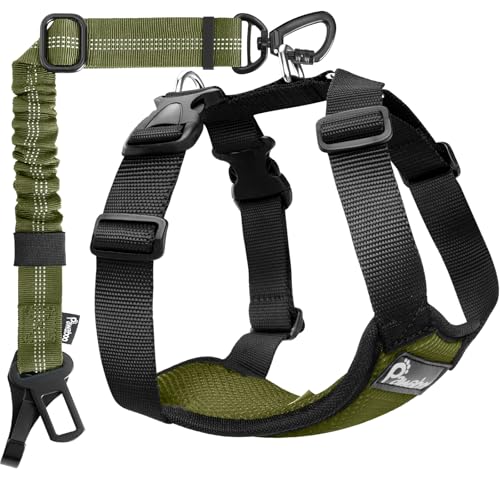 Pawaboo Dog Seat Belt Harness for Car, Dog Car Harness Seatbelt with Double Clips, Adjustable Breathable Pet Vest & Dogs Safety Tether with Elastic Bungee for Small Medium Large Pet, M,Green + Black - color: Green + Black, size: Medium