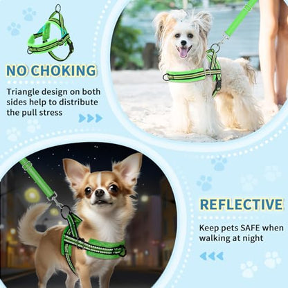 Lukovee No Pull Dog Harness and Leash Set, Soft Padded Small Dog Harness, Neck & Chest Adjustable Reflective Vest Puppy Harness with 4ft Lightweight Anti-Twist Dog Leash for Small Dogs (XXS, Green) - color: Green - with Stripe, size: XXS ( Chest 11.5'' ~
