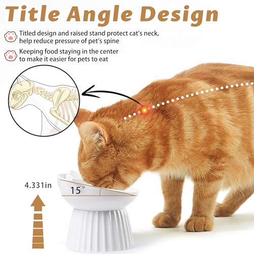 Ceramic Raised Cat Bowl，Tilted Raised Bowl Anti Vomit for Indoor Cats Whisker Friendly Pet Feeder for Cats Puppies, Microwave and Dishwasher Safe (White-2 Pack) - color: White-2 Pack