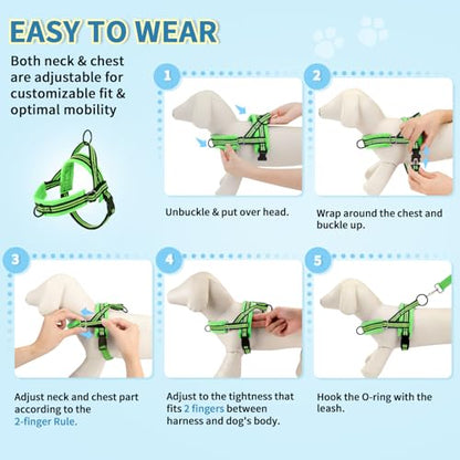 Lukovee Soft Padded Small Dog Harness (X-Small, Green) with 4ft Lightweight Leash, Adjustable Reflective Vest for Walking, Running, Hiking, Training - color: Green - with Stripe, size: XS ( Chest 14'' ~ 18'')