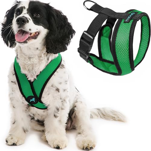 Gooby Comfort X Head in Harness - Hunter Green, Small - No Pull Dog Harness with Patented Choke-Free X Frame for Small to Medium Dogs Indoor/Outdoor Use - color: Hunter Green, size: Small Chest (11.75-15.5")