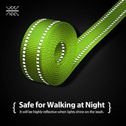 PHOEPET 5 Feet Dog Leash with Comfortable Padded Handle Easy Snap Clasp - Reflective Walking Lead for Large, Medium & Small Breed Dogs (Green + Purple Base) - color: Green + Purple Base