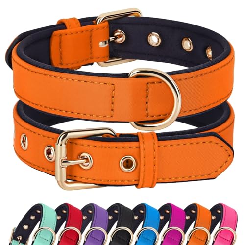 Didog Soft Padded Dog Collars for Small Dogs, Lightweight and Breathable Dog Collar with Metal Buckle for Puppy, Orange, S - color: Orange, size: S: Fit 9-12" Neck