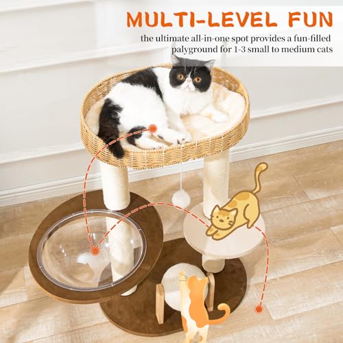 Modern Cat Tree for Indoor Cats, Wood Cat Tree with Natural Sisal-Covered Scratching Posts, Unique Cat Furniture Activity Center with Cat Scratching Ball Toy - color: SCT003 new