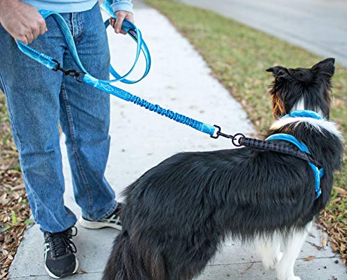 Leash Boss Pattern Bungee Dog Leash Extension, 18" Shock Absorbing Lead Extender, Pattern Collection - Large Dog Leash Attachment and Shock Absorber (Wave Pattern) - color: Blue - Wave