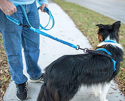 Leash Boss Pattern Bungee Dog Leash Extension, 18" Shock Absorbing Lead Extender, Pattern Collection - Large Dog Leash Attachment and Shock Absorber (Wave Pattern) - color: Blue - Wave