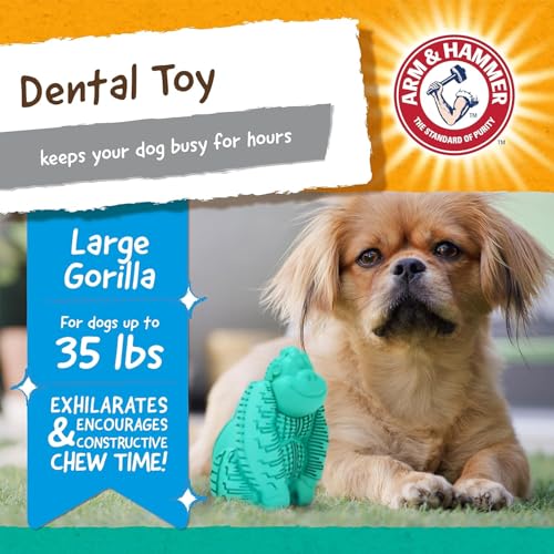 Arm and Hammer for Pets Super Treadz Gorilla Dental Chew Toy for Dogs - Reduces Plaque and Tartar Without Brushing, Baking Soda Infused, Dishwasher Safe, Dogs Up to 35 Lbs - 3 Pack - size: Large (Pack of 3), style: Gorilla