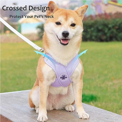 Dog Harness Pet X Frame No Pull Step-in Harnesses with Leash Set, Adjustable Reflective Choke Free Puppy with Padded Vest for Small, Medium Dogs and Cats Walking Training - color: Purple, size: Large