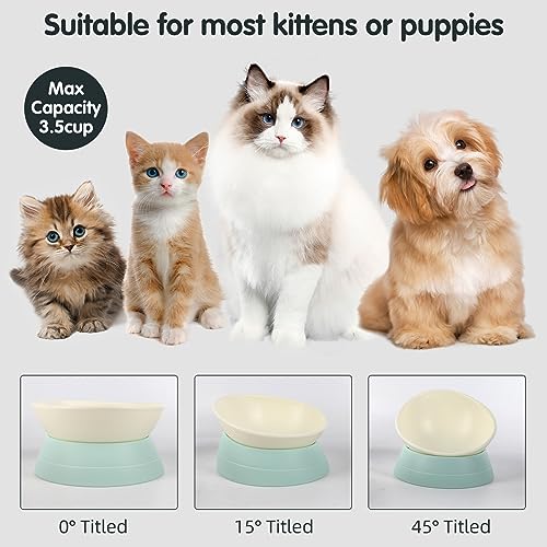 Bulldog Bowl Anti-Slip Dog Cat Dish Detachable Rubber Dog Bowl Pet Sterile Tilted Pet Feeder Slope Base (Green, 3.5 Cup (Medium/Large Dog)) - color: Green, size: 3.5 Cup ( Medium/Large Dog )