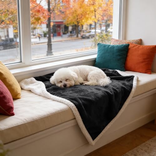 Dog Blankets for Small Dogs, Soft Puppy Blanket, Pet Blankets for Cats, Lightweight & Washable, Perfect for Dog Beds, Car Seats, Creat, 30x40 inches - color: Black
