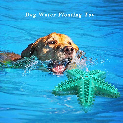 Squeaky Chew Toy - Starfish Water Floating Toy for Dogs, Natural Tooth Brush Teeth Cleaning for Small Medium Dogs - Blue - color: Starfish Blue