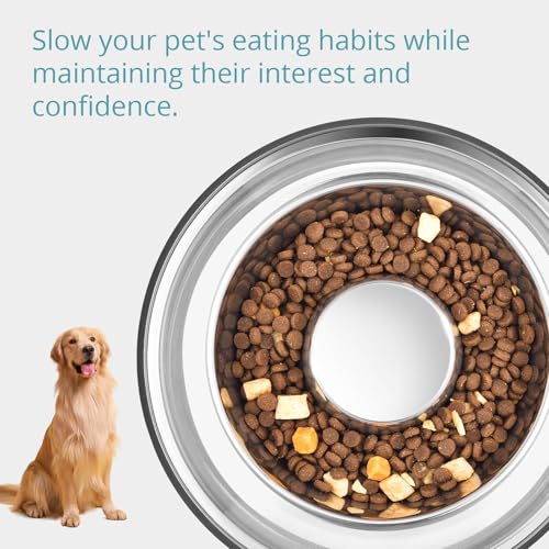 PEGGY11 Stainless Steel Slow Feeder Dog Bowl - Holds 5 Cups, for Large Size Dog - size: 5 Cup, for Large Sized Dogs
