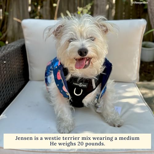 Lucy & Co. The Midnight No-Pull Dog Harness - Size Small - Vest to Stop Pulling & Walk Easy - Comfortable Leash Training Product w/Adjustable Chest & Neck Straps - color: The Midnight No-Pull Harness, size: Small