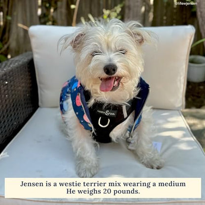 Lucy & Co. The Midnight No-Pull Dog Harness - Size Small - Vest to Stop Pulling & Walk Easy - Comfortable Leash Training Product w/Adjustable Chest & Neck Straps - color: The Midnight No-Pull Harness, size: Small