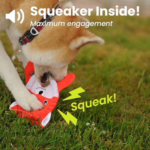 PAWSPIK Flying Disc Tug-of-War Toy, Eco-Friendly Recycled Material, Squeaker Toy for Medium and Large Dogs, for Throwing & Fetching 8.5" Diameter (Fierce Fox) - style: Fierce Fox