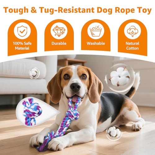 LOOBANI Dog Rope Toys for Aggressive Chewers, 2 Packs Replacement Interactive Chew Toy for Pet Grinding Teeth, Tug of War Toy for Small Medium Large Breeds(Purple Blue) - color: Purple Blue