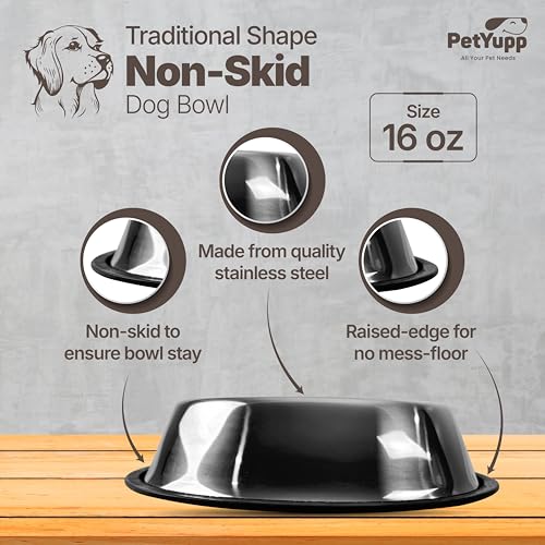 Stainless Steel Dog Bowl - Non-Skid Rubber Base, Rust-Proof & Dishwasher Safe – Durable Food and Water Bowl for Dogs and Cats - 16oz - size: Non Skid Bowl - 16 oz