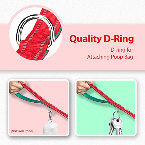 PHOEPET 5 Feet Dog Leash - Dual-Side Reflective - Soft Padded Handle - Fit for Walking, Training or Exploring Hiking, Camping(Red + Dark Green Base) - color: Red + Dark Green Base